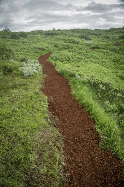 Caminho vermelho — Fotografia de Stock