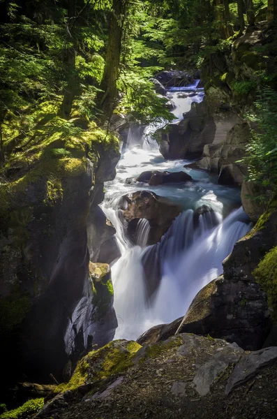 Avalanche Creek Falls — Stockfoto