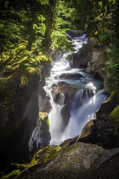 Avalanche Creek Falls Royaltyfria Stockfoton