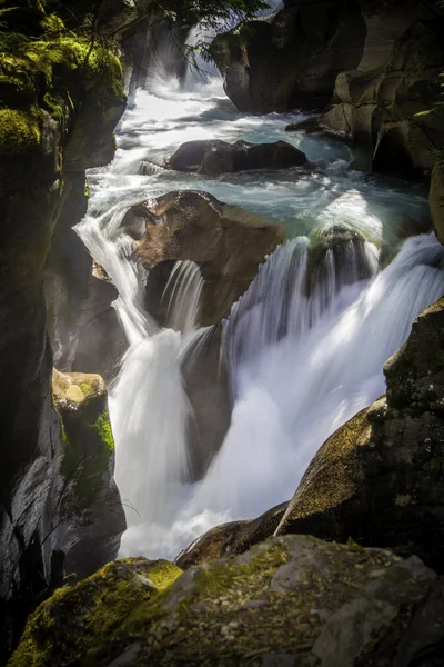 Avalanche Creek Falls Stockbild