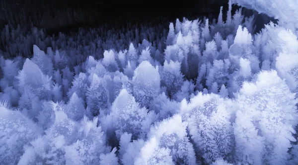 Caverna de gelo — Fotografia de Stock