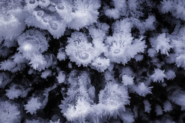洞窟の氷の形成 — ストック写真