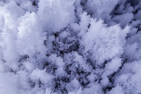 Formations de glace de grotte — Photo