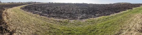 Burned Prairie — Stock Photo, Image