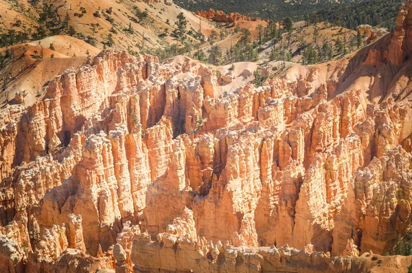 Bryce Point de vue — Photo