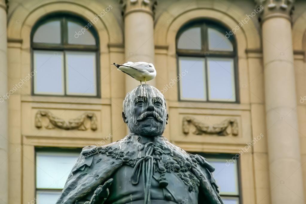 Paloma de pie sobre la cabeza de las estatuas 2022