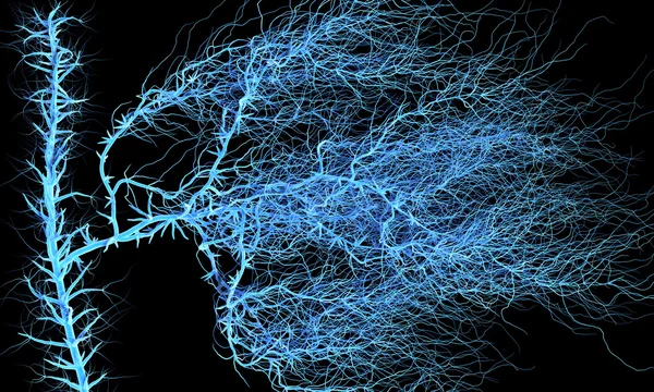 Нервная система или система крови. Медицинская иллюстрация — стоковое фото