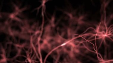 Neurone synapse network. Flight through brain. 3D animation.