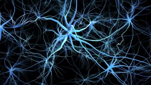 Neurone synapse network. Flight through brain. 3D animation. — ストック動画