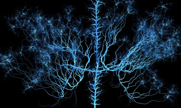 Нервная система. Медицинская иллюстрация — стоковое фото