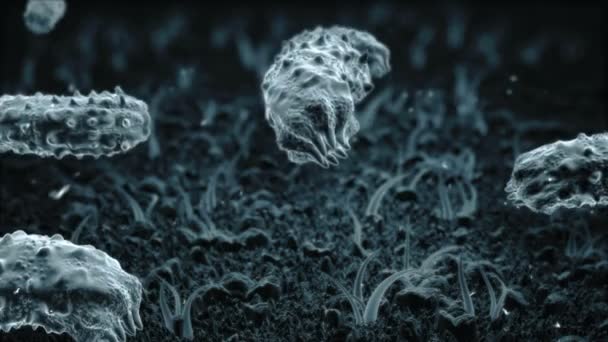 Mikrop, bakteri ve virüs hayatından. Yüksek büyütme. Tıp ve bilim animasyon — Stok video