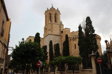 Tarragona Katedrali uzun ağaçlar, Katalonya, İspanya ile çevrilidir..