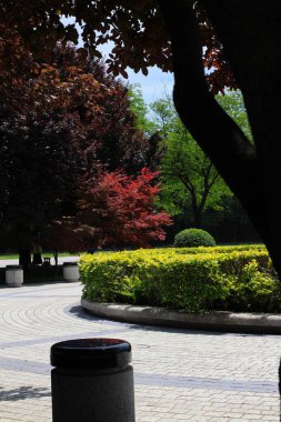 Terracotta ordusunun müzesinin yakınına park et. Kesilmiş çalılar, kırmızı yapraklı ağaçlar. Çin.