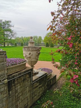 Elaginoostrovsky Sarayı 'nın vazolarının yanında pembe ve leylak renkli bir viyola ve St. Petersburg' daki Elagin Adası 'ndaki parkta kırmızı çiçekli bir elma ağacı..