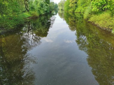 Ağaçların arasında, bulutsuz bir bahar gününde St. Petersburg 'daki Elagin Adası' ndaki parkta.