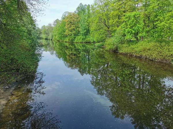 Teich Zwischen Bäumen Einem Wolkenlosen Frühlingstag Park Auf Der Insel — Stockfoto