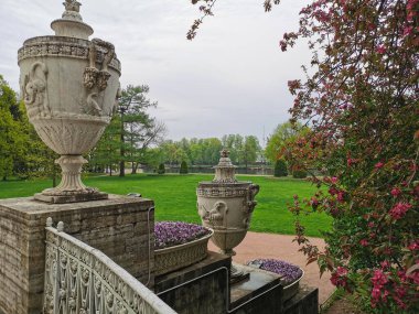 Elaginoostrovsky Sarayı 'nın vazolarının yanında pembe ve leylak renkli bir viyola ve St. Petersburg' daki Elagin Adası 'ndaki parkın arka planında kırmızı çiçekli bir elma ağacı..