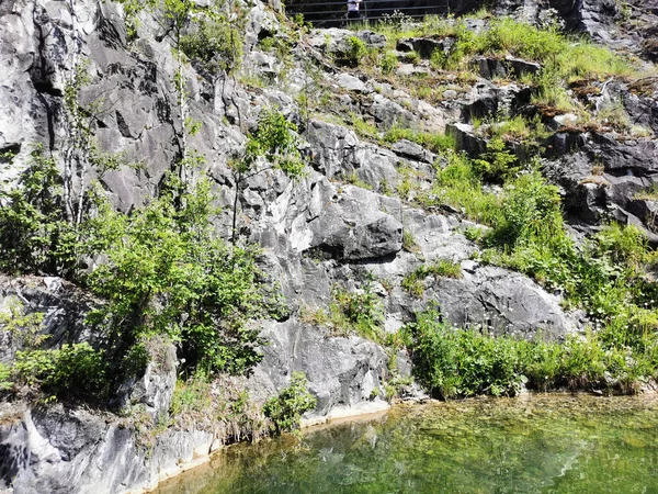 Utsikt Från Vattnet Sluttningen Översvämmade Marble Canyon Där Träd Växer — Stockfoto