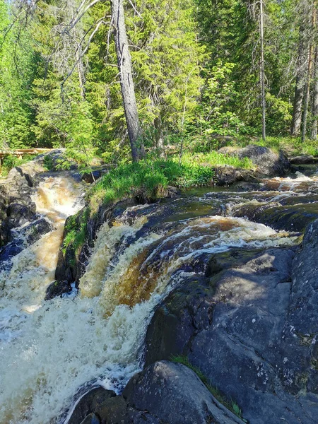 Sidovy Över Vattenfallet Ahvenkoski Vid Tokhmayoki Älv Karelen Klar Sommarmorgon — Stockfoto