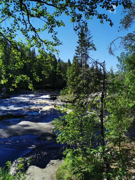 Ein Malerischer Wasserfall Tokhmayoki Fluss Karelien Umgeben Von Bäumen Einem — Stockfoto