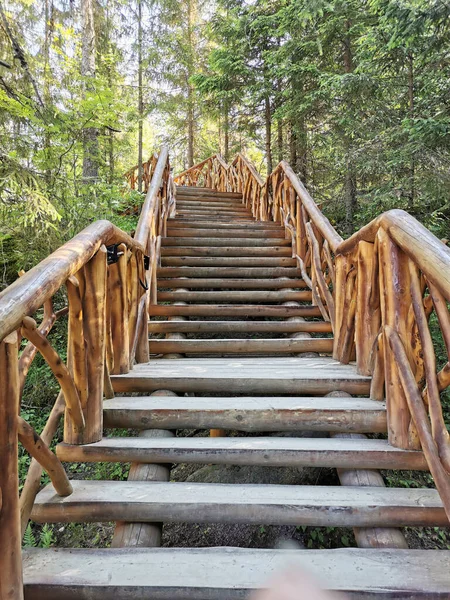 A wooden staircase of an ecological trail with original railings leading to the Tohmajoki River in Karelia on a sunny summer morning.