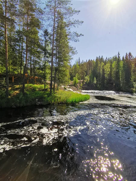 View from the ecological trail on the Tokhmayoki River in Karelia on a sunny summer morning.