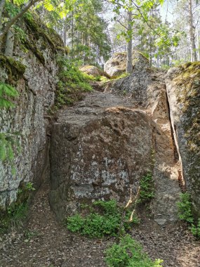 Vyborg 'daki Monrepos' taki bir kaya çiti açık bir yaz gününde Doğal Parkı sallıyor..