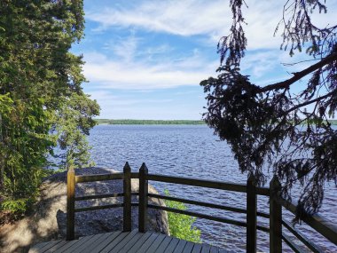 Vyborg Körfezi kıyısı manzaralı ağaçlar arasında gözlem güvertesi. Açık bir yaz gününde Vyborg şehrinin kayalık doğal parkından Monrepos..