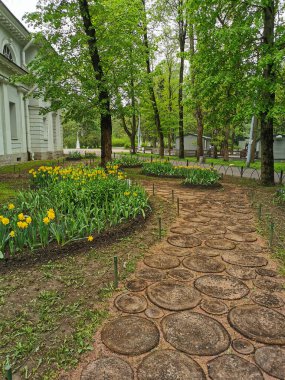 Aralarında kırmızı ve diğer lalelerin bulunduğu büyük çiçek yatakları, bir bahar günü ağaçların arasında ağaç kesiklerinin oluşturduğu bir patika. St. Petersburg 'daki Elagin Adası' ndaki lale festivali..