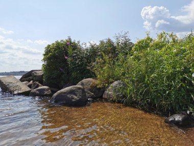 Çiçeklerle, çalılarla ve kayalarla kaplı bir orman gölünün kıyısı. Mavi gökyüzünün arka planında bulutlar var..