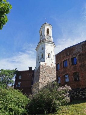 Eski bir saat kulesi, eski bir çan kulesi, açık bir yaz gününde Vyborg şehrindeki yerleşim yerlerinin arasında duruyor..