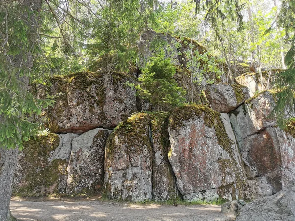 Ett Stengärde Naturparken Monrepos Viborg Klar Sommardag — Stockfoto