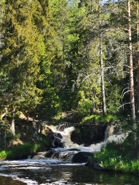 Ett Pittoreskt Vattenfall Vid Tokhmayoki Älv Karelen Omgivet Träd Klar — Stockfoto