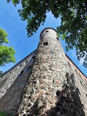 Vyborg şehrindeki Vyborg kalesinin dış taş duvarı ve kulesi mavi gökyüzünün ve ağaç dallarının arka planına karşı..