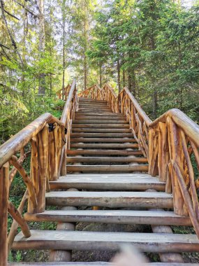 Güneşli bir yaz sabahı Karelia 'daki Tohmajoki Nehri' ne giden ekolojik bir patikanın tahta merdiveni..