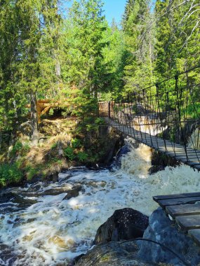 Karelya 'da Tokhmayoki nehri üzerindeki Ahvenkoski şelalesinin üzerindeki yaya asma köprüsü açık bir yaz sabahı.