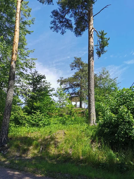 Mirador Montaña Entre Los Árboles Parque Monrepos Ciudad Vyborg Sobre —  Fotos de Stock