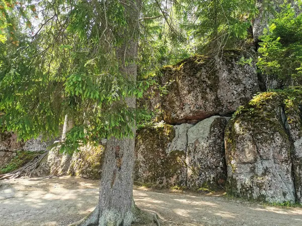 Ένας Φράχτης Βράχων Στο Φυσικό Πάρκο Monrepos Στο Vyborg Μια — Φωτογραφία Αρχείου