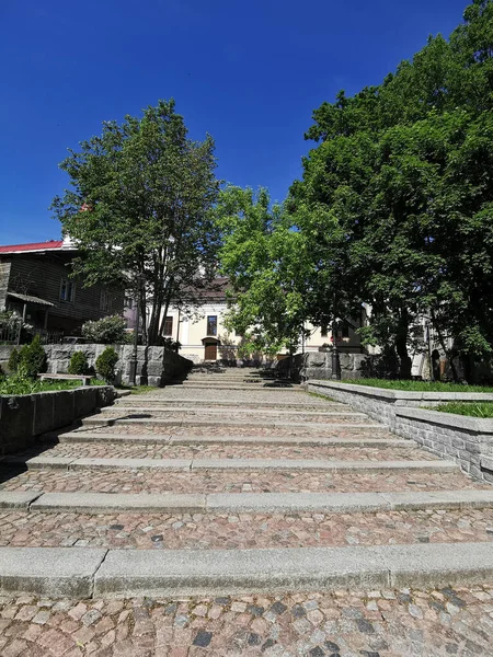 Large Wide Stone Staircase Park Sunny Summer Day Vyborg — Stock Photo, Image