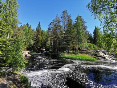 Karelia 'daki Tokhmayoki nehrinde açık bir yaz sabahı ağaçlarla çevrili resimli şelaleler..
