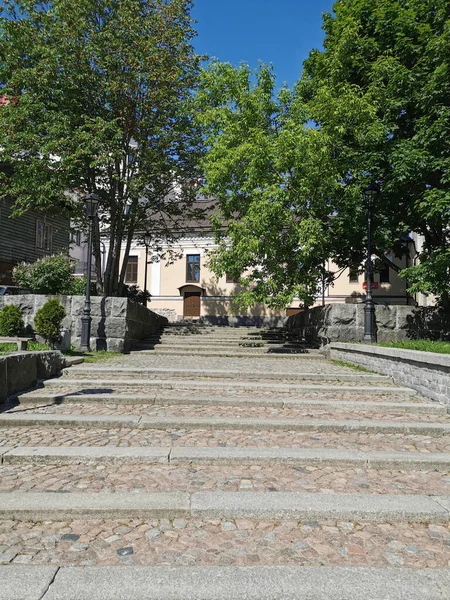 Una Gran Amplia Escalera Piedra Parque Soleado Día Verano Vyborg —  Fotos de Stock