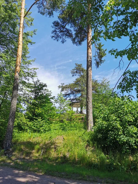 Mirador Montaña Entre Los Árboles Parque Monrepos Ciudad Vyborg Sobre —  Fotos de Stock