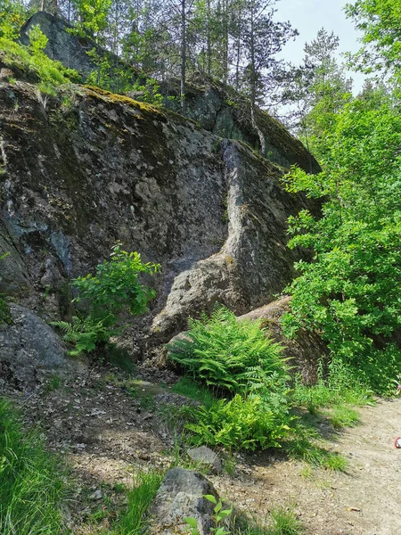 在一个晴朗的夏日 在维堡市的Monrepos岩石自然公园里 有一个巨大的栅栏 树上长满了树木 — 图库照片