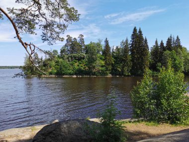 Vyborg Körfezi kıyısından adaya Monrepos kayalıklarında bir şapel ile Vyborg şehrinin Doğal Parkı 'na bakın..