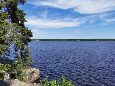 Vyborg Körfezi kıyılarının manzarası açık bir yaz gününde Vyborg şehrinin kayalık doğal parkından Monrepos..