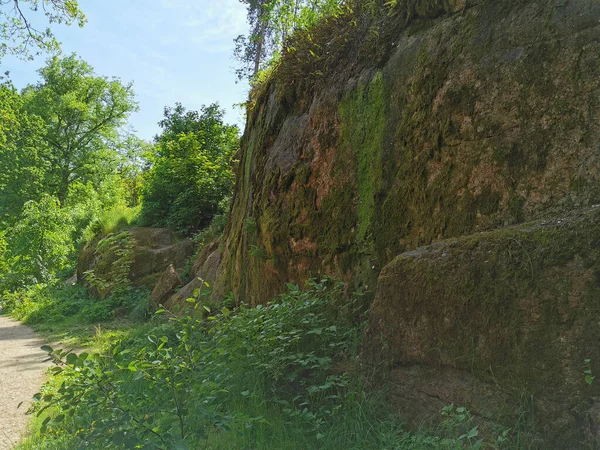 岩の上に木が生えている岩の柵を抜ける道夏の晴れた日にヴィボルグ市のモンレポス — ストック写真