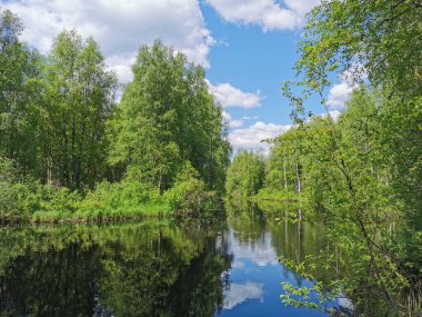 Mavi gökyüzünün arka planında tüylü bulutlar, Vyborg Kalesi ve Vyborg şehrindeki beyaz St. Olaf Kulesi..