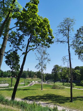 Kronstadt şehrinin Yaz Bahçesi 'ndeki beyaz bankların bulunduğu yollar ve gözlem güvertesi mavi bulutsuz gökyüzünün arka planında..