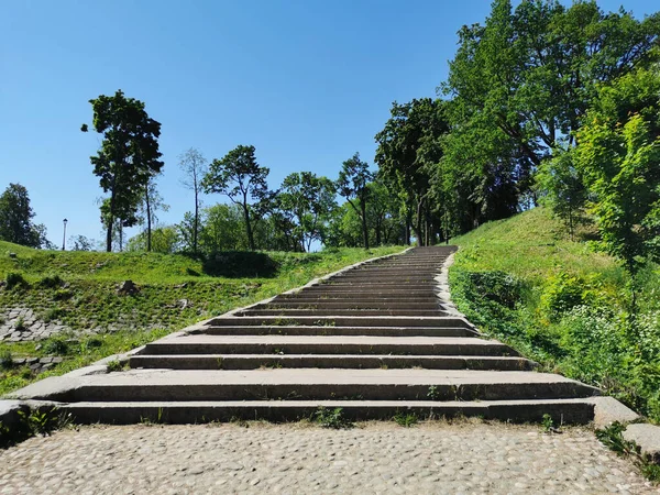 Una Vista Desde Abajo Una Amplia Escalera Piedra Jardín Verano —  Fotos de Stock