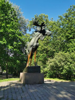 Mavi gökyüzüne karşı Vyborg şehrindeki Lenin Park 'ta granit bir heykel üzerinde bronz bir Moose heykeli..